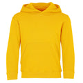 Fruit of the Loom Childrens’ Unisex Hooded Sweatshirt, Hoodie